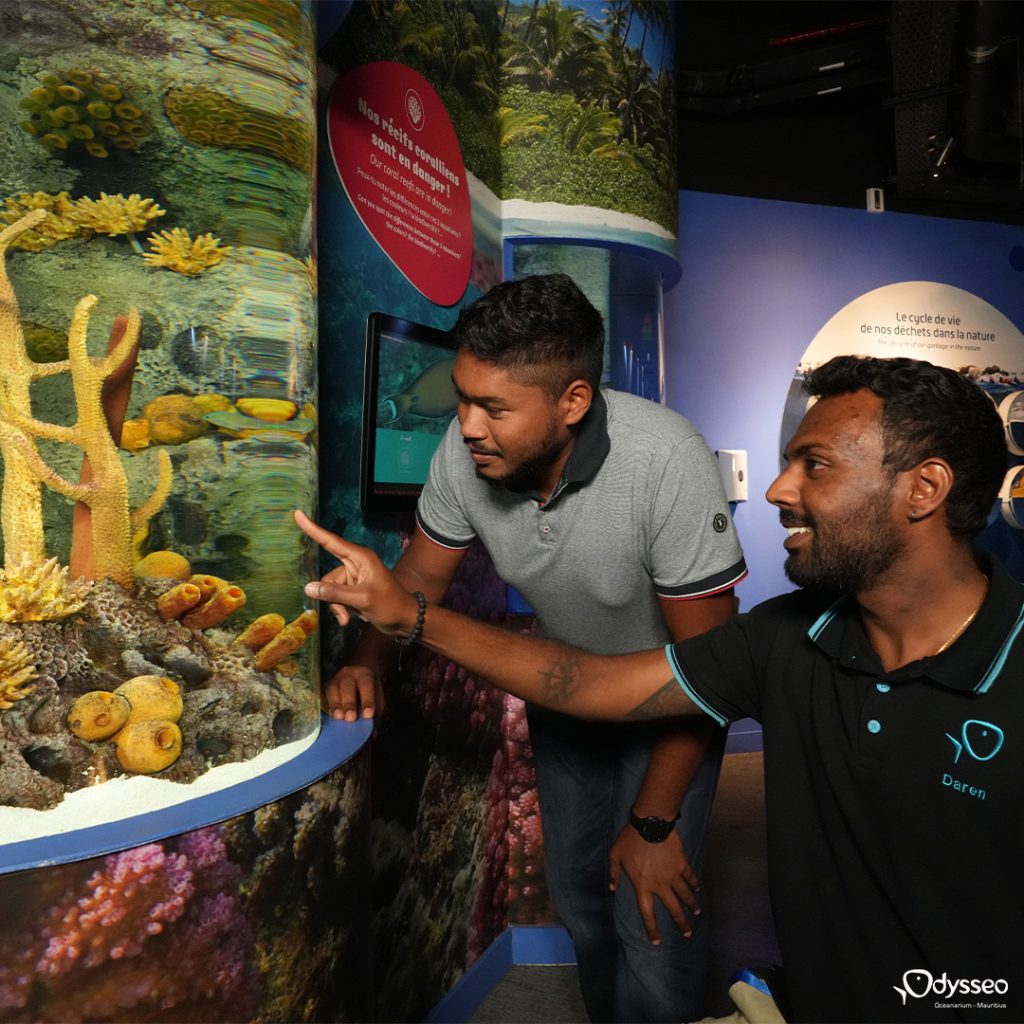 Guided visit Odysseo