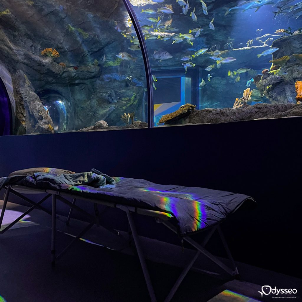 Sleep at Odysseo oceanarium Mauritius